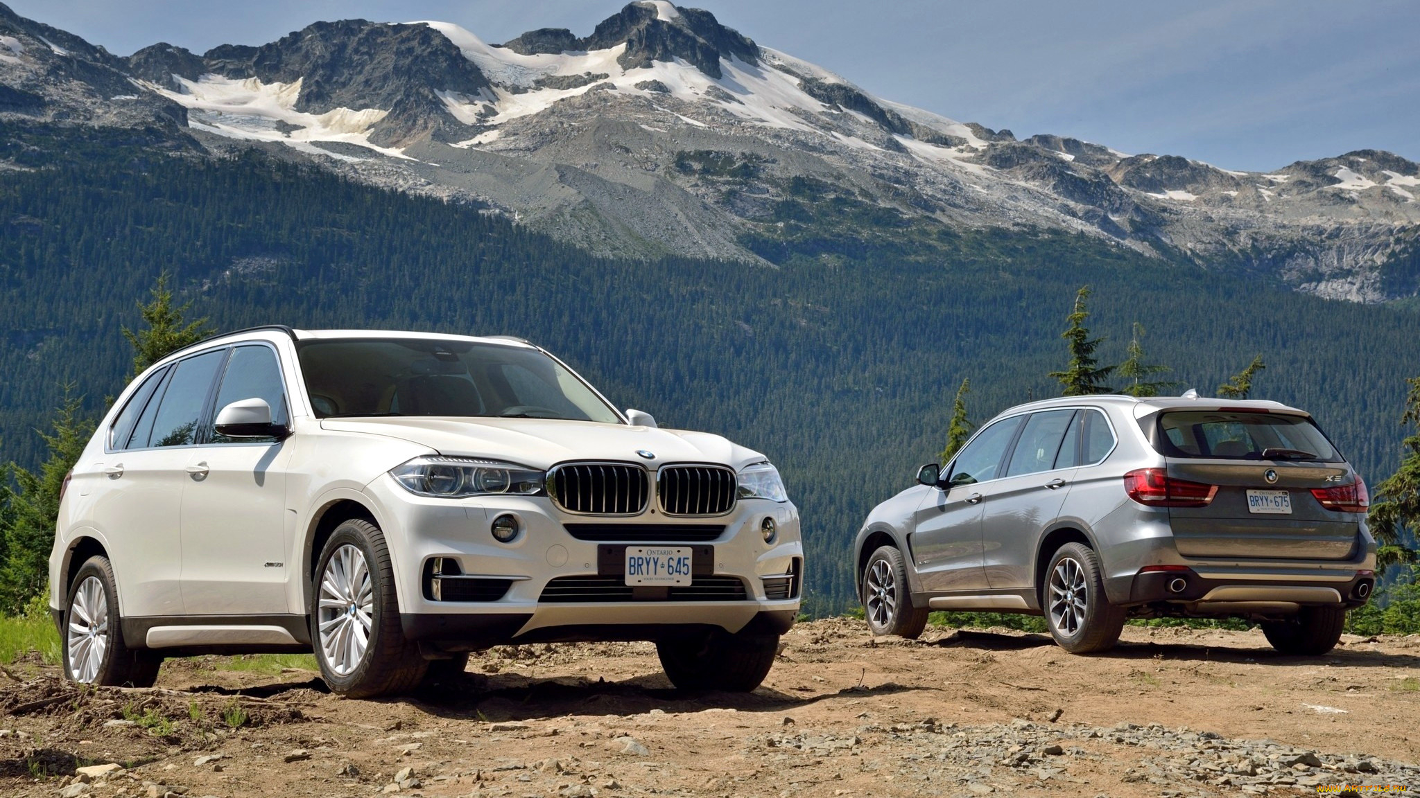 bmw, x5, , , , bayerische, motoren, werke, ag